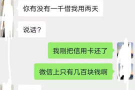 云龙遇到恶意拖欠？专业追讨公司帮您解决烦恼